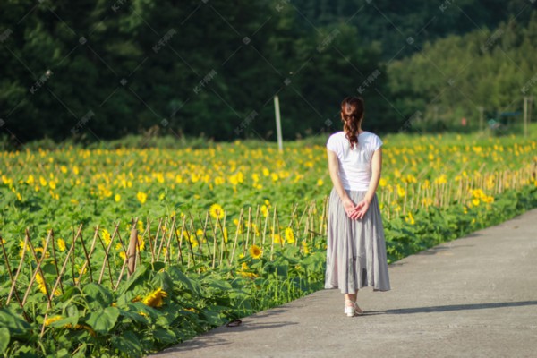 冬日武汉,泡温泉喝热茶,温暖过冬新体验 冬日武汉,泡温泉喝热茶,温暖过冬新体验